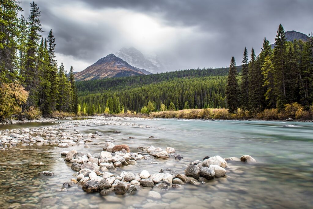 river, rocks, trees-1899328.jpg